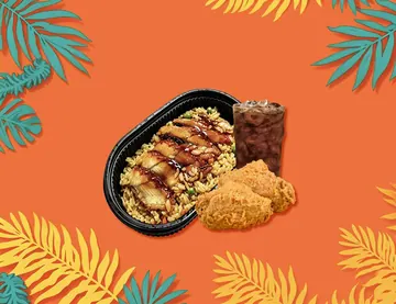 f2. eel fried rice combo